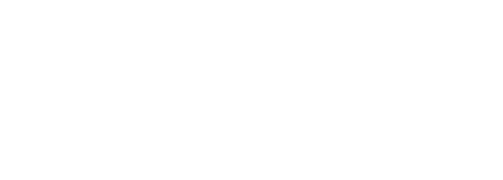 HALLEMEN MEDICAL SERVICES